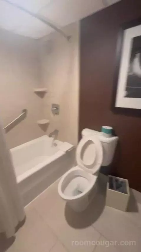 Presidential Suite bathroom picture #6