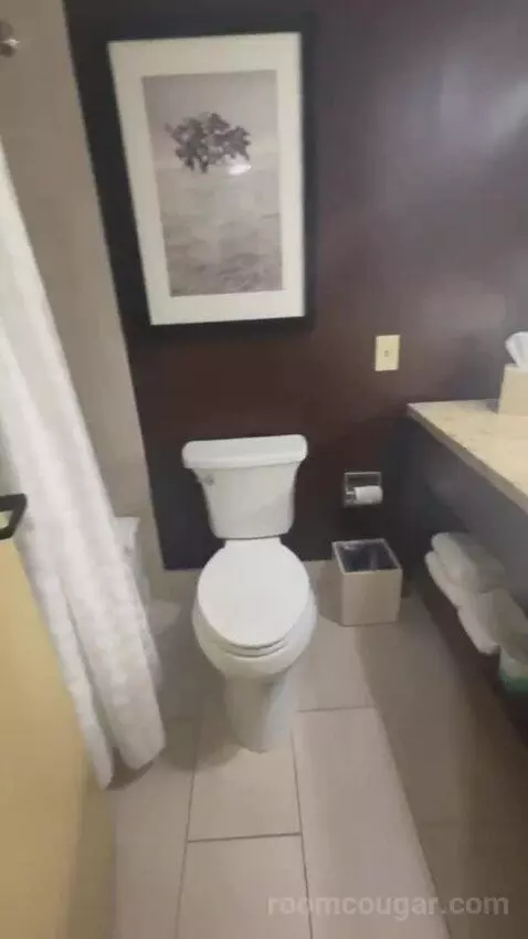 Presidential Suite bathroom picture #7