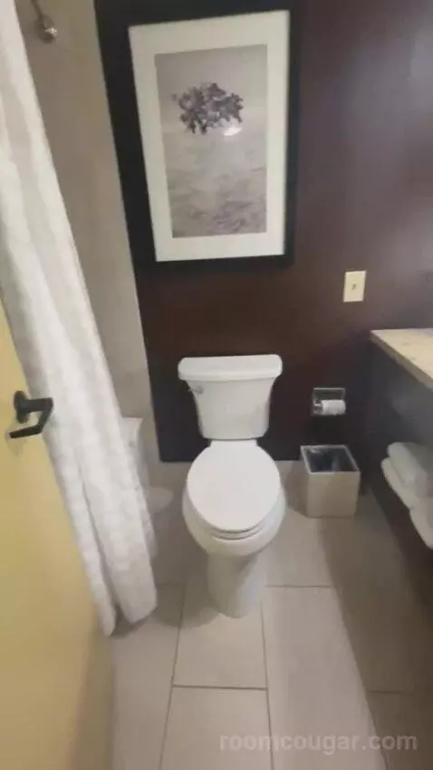 Presidential Suite bathroom picture #8