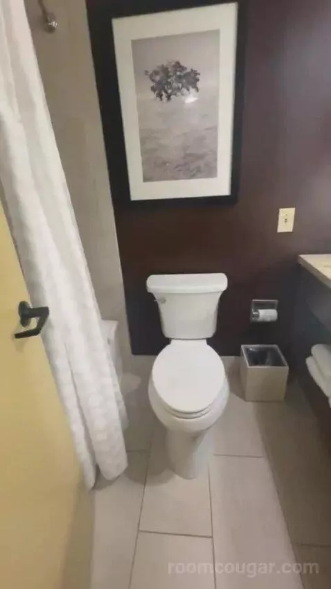 Presidential Suite bathroom picture #9