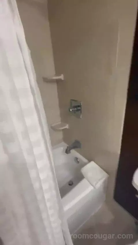 Presidential Suite bathroom picture #10
