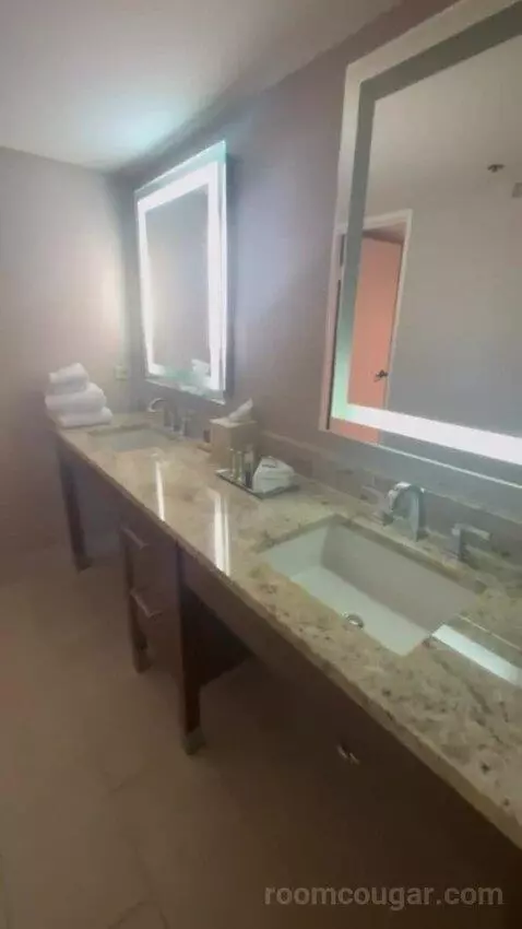 Presidential Suite bathroom picture #1