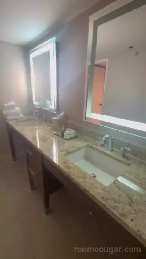 Presidential Suite bathroom picture #2