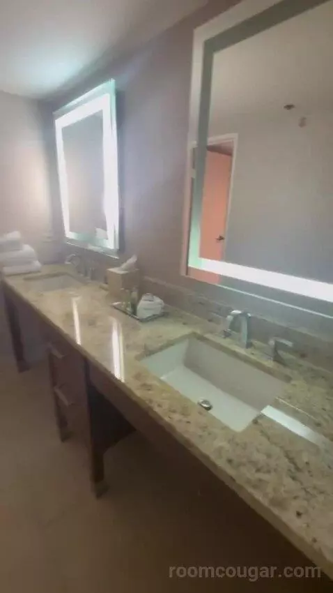Presidential Suite bathroom picture #3