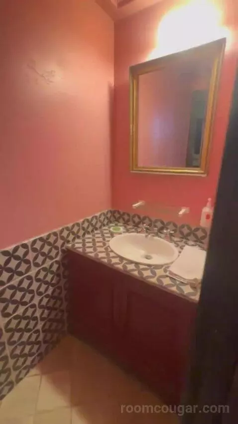 Grand Suite bathroom picture #12