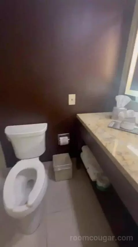 Junior King Suite with Sofa Bed bathroom picture #7