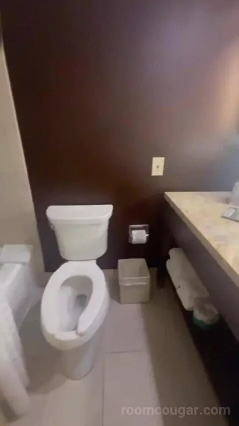 Junior King Suite with Sofa Bed bathroom picture #9