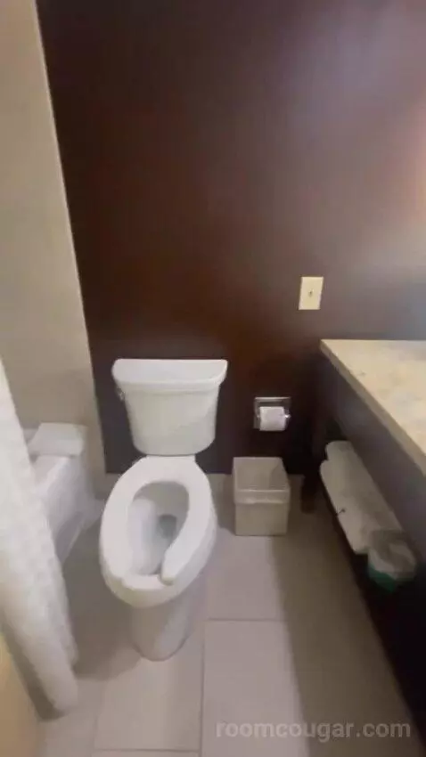 Junior King Suite with Sofa Bed bathroom picture #10