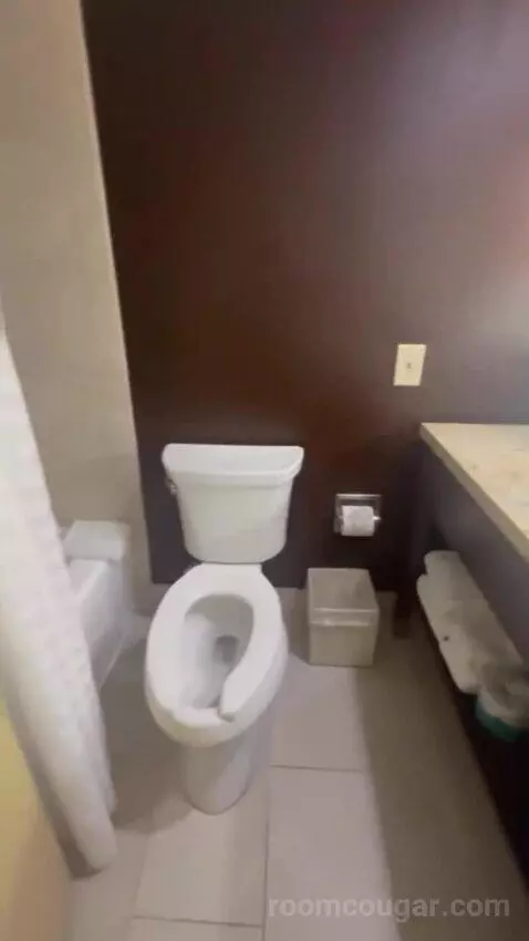 Junior King Suite with Sofa Bed bathroom picture #11