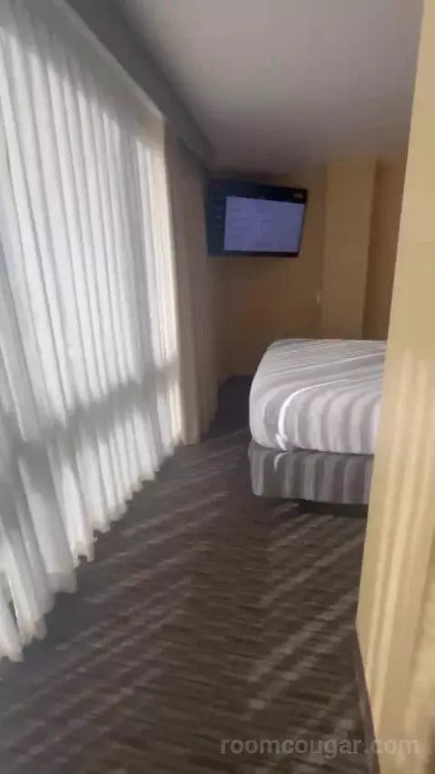 Junior King Suite with Sofa Bed bed picture #5