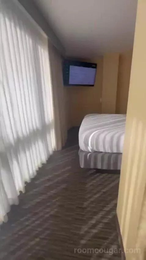 Junior King Suite with Sofa Bed bed picture #6