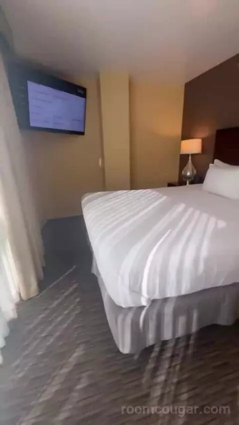 Junior King Suite with Sofa Bed bed picture #7