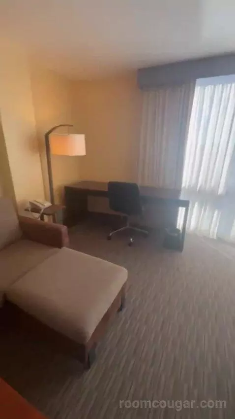Junior King Suite with Sofa Bed bed picture #3