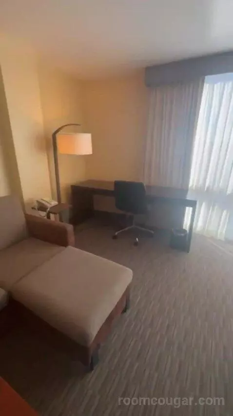 Junior King Suite with Sofa Bed bed picture #4