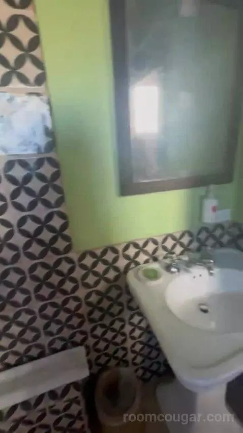 Hemingway Suite bathroom picture #12
