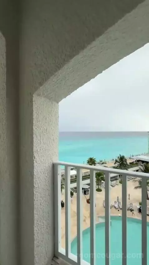 Premium King Room with Ocean View view picture #4