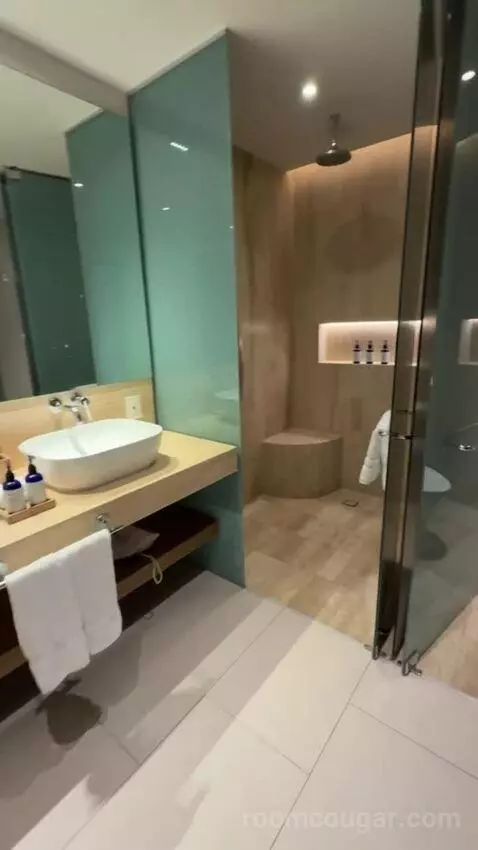 Premium King Room with Ocean View bathroom picture #7
