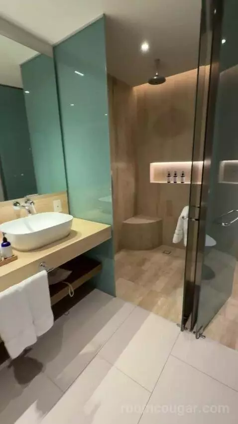 Premium King Room with Ocean View bathroom picture #8