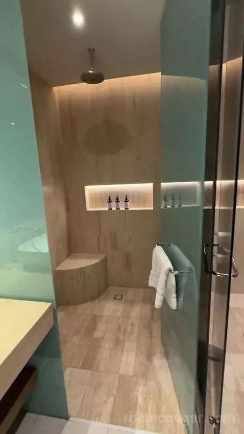 Premium King Room with Ocean View bathroom picture #9