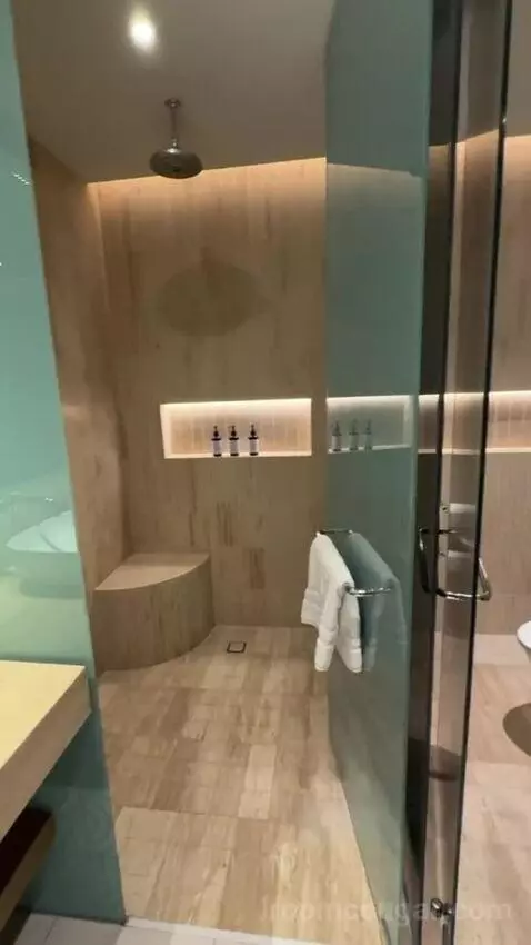 Premium King Room with Ocean View bathroom picture #10