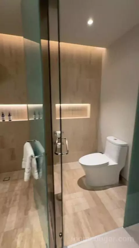 Premium King Room with Ocean View bathroom picture #11