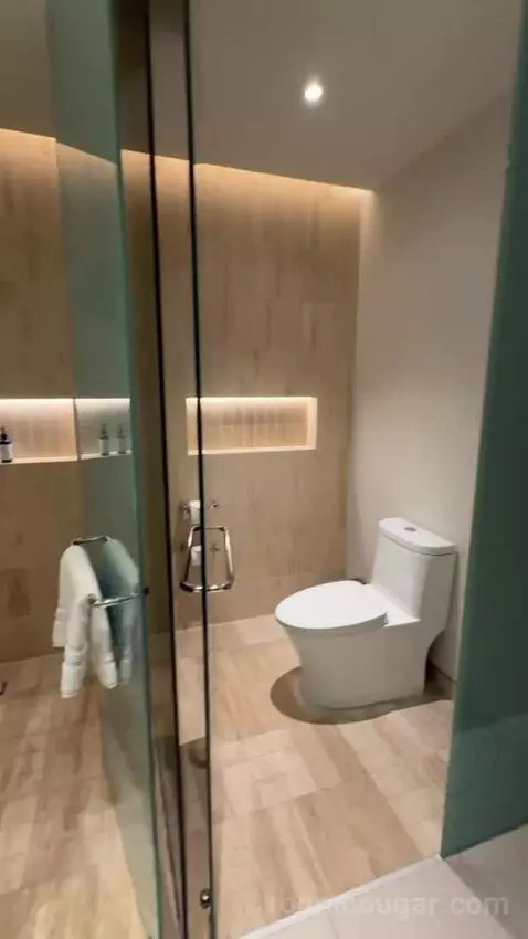 Premium King Room with Ocean View bathroom picture #12