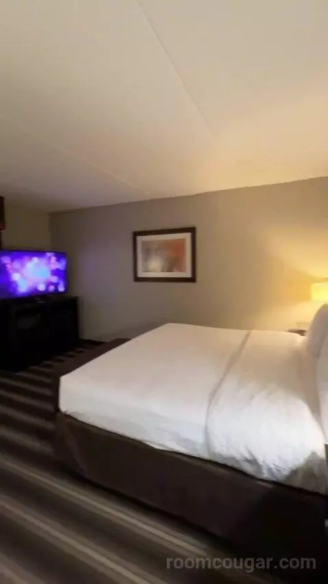 King Room bed picture #5