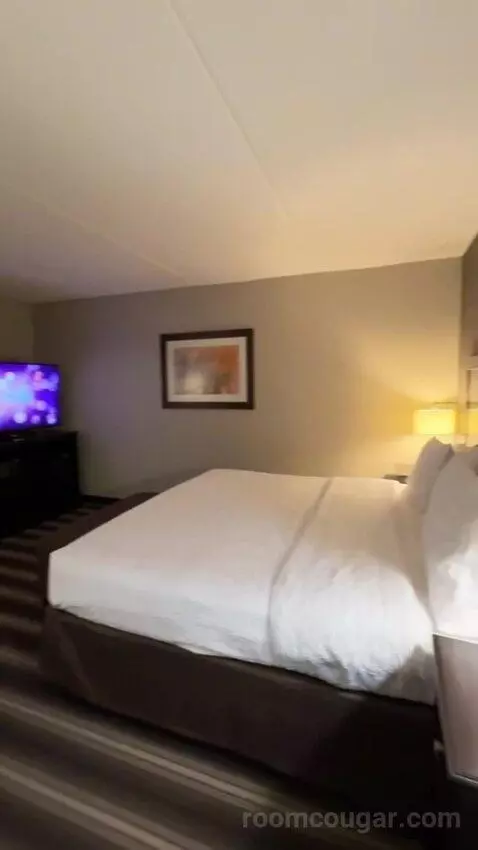 King Room bed picture #6