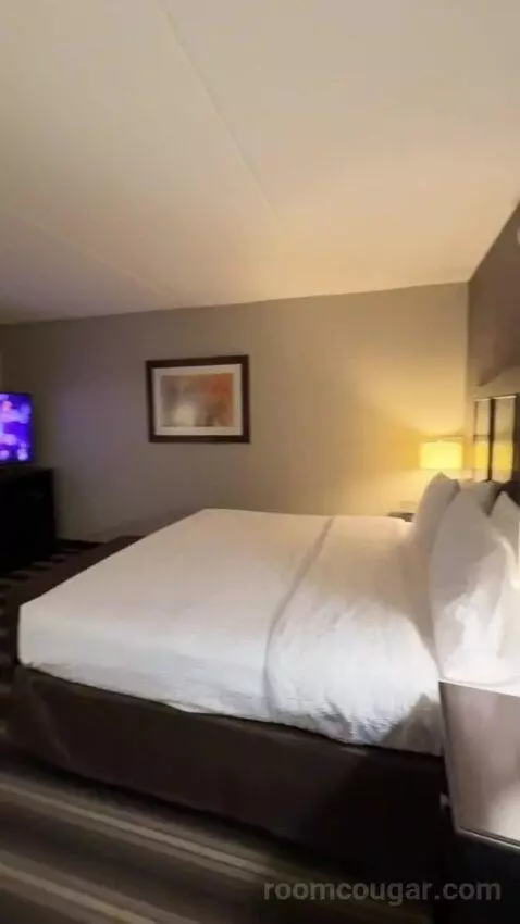 King Room bed picture #7