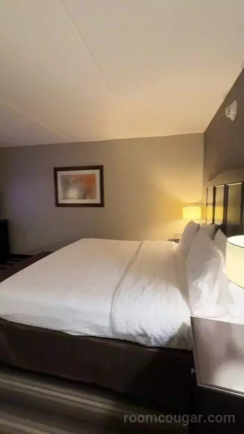King Room bed picture #8