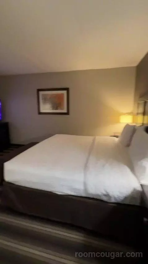 King Room bed picture #9