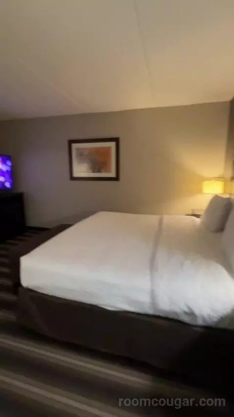 King Room bed picture #10