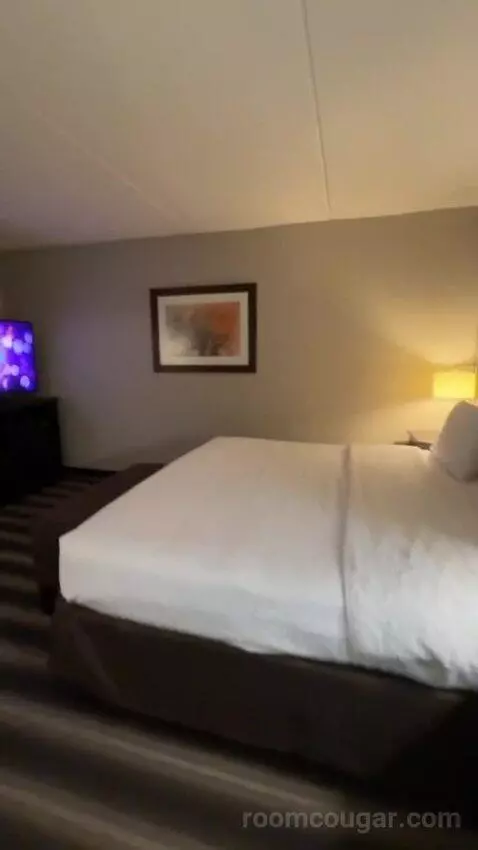 King Room bed picture #11