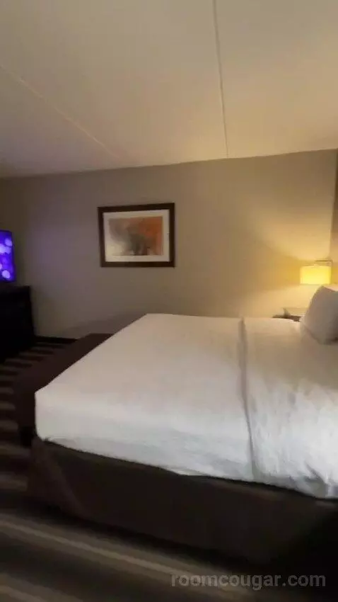 King Room bed picture #12