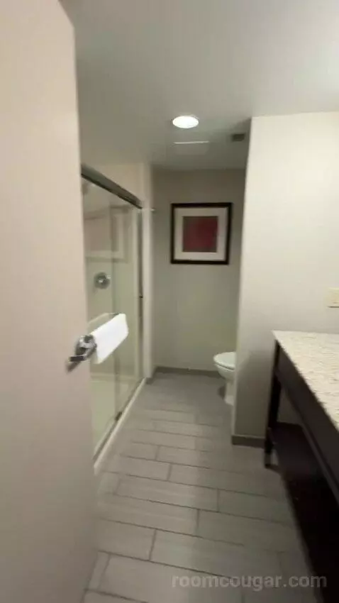 King Room bathroom picture #2