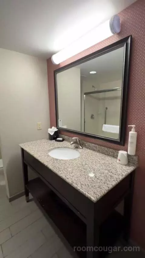 King Room bathroom picture #3