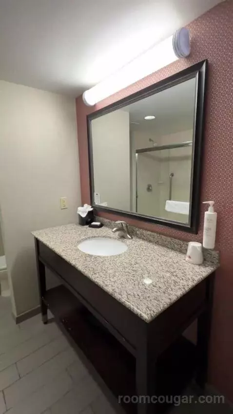 King Room bathroom picture #4