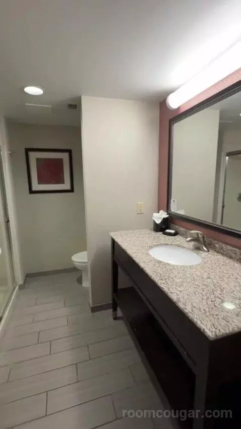 King Room bathroom picture #5
