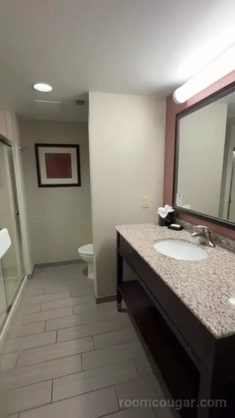 King Room bathroom picture #6