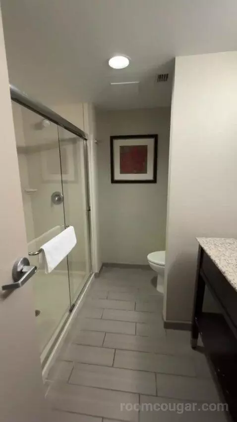 King Room bathroom picture #8