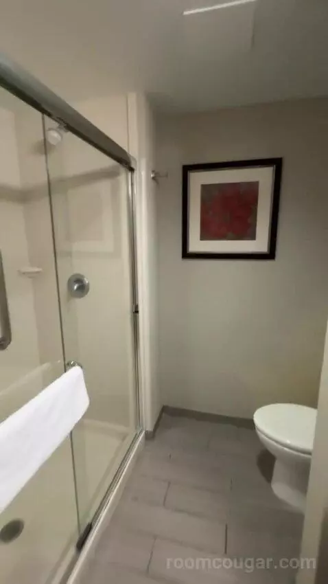 King Room bathroom picture #9