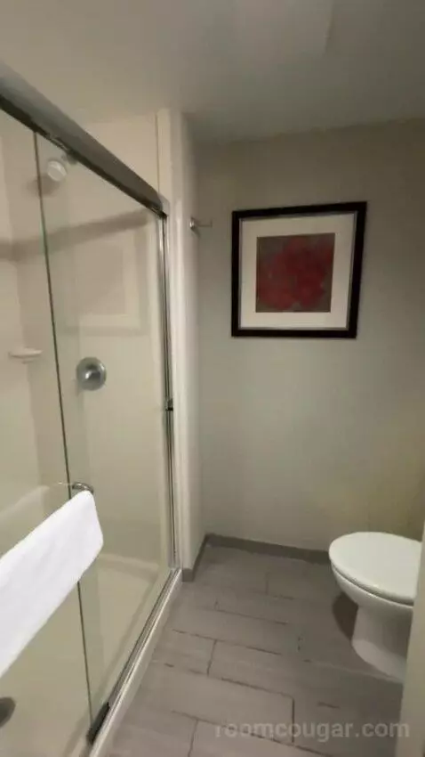 King Room bathroom picture #10