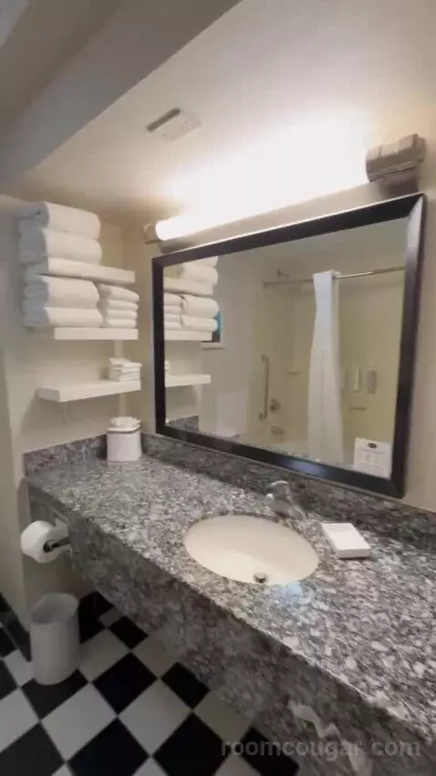 Queen Room with Two Queen Beds bathroom picture #8