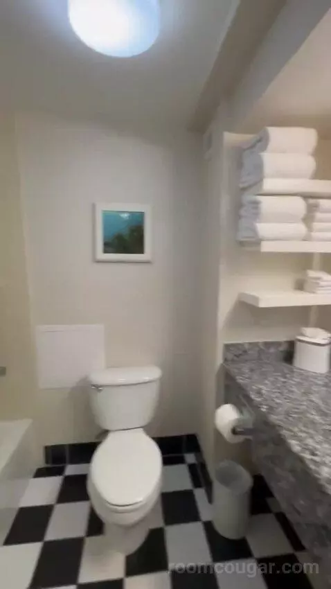 Queen Room with Two Queen Beds bathroom picture #10