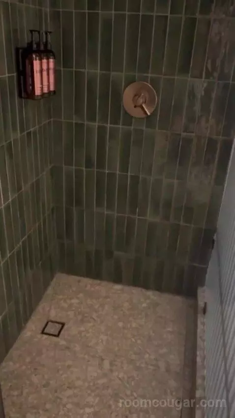 Queen Room bathroom picture #7