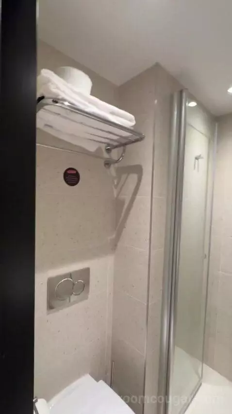 Standard Double Room bathroom picture #9