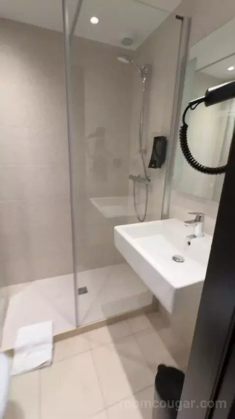 Standard Double Room bathroom picture #2