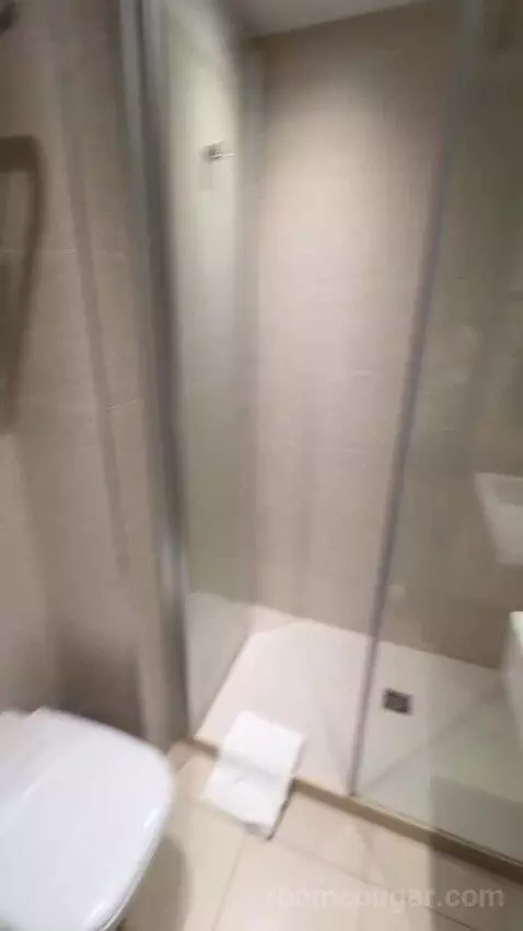 Standard Double Room bathroom picture #7