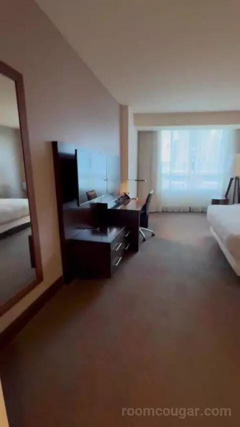King Room picture #16