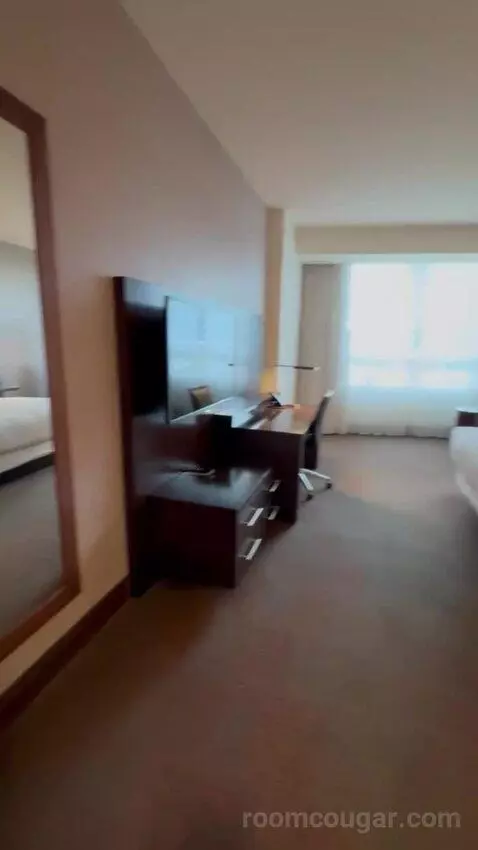King Room picture #17